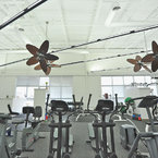 Caruso ceiling fan, pewter, with vertically rotating antique bamboo blades, in a gym
