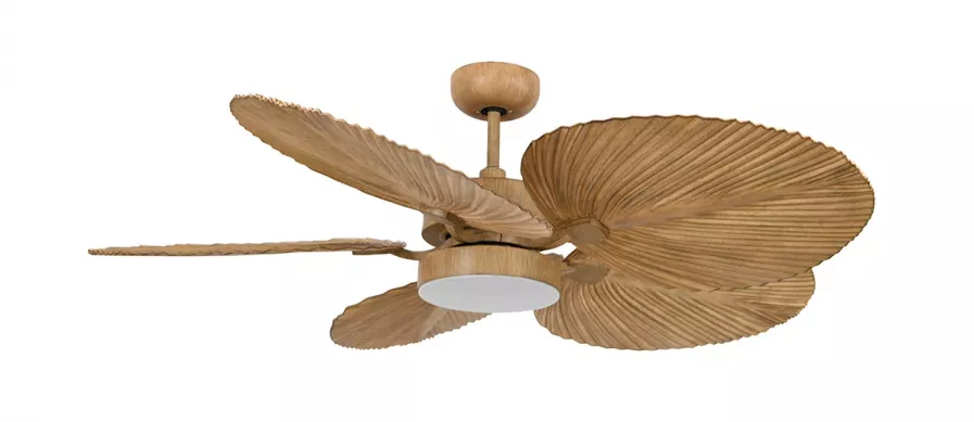 BALI LED